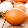 Ovo marrom e ovo branco: quais são as diferenças