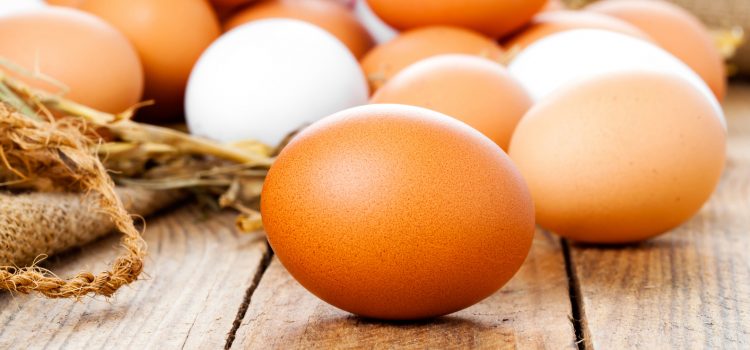 Ovo marrom e ovo branco: quais são as diferenças Ovo marrom e ovo branco: quais são as diferenças