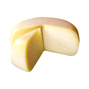 Queijo Tipo Colonial